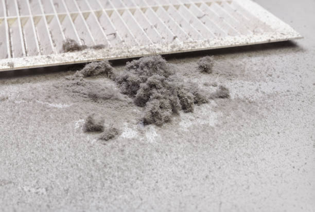 Best Air Duct Mold Removal  in Oak Bluffs, MA