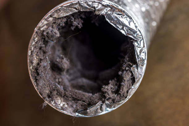 Best Best Air Duct Cleaning Company  in Oak Bluffs, MA